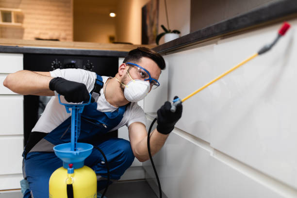 Best Rat Extermination Near Me  in Ebensburg, PA