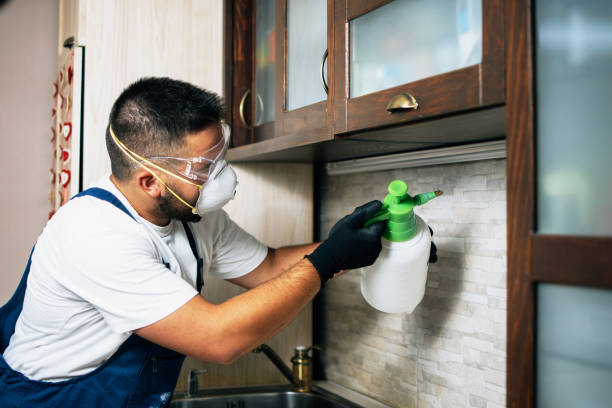 Pest Prevention Services in Ebensburg, PA