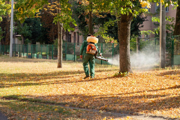 Best Spider Control Near Me  in Ebensburg, PA