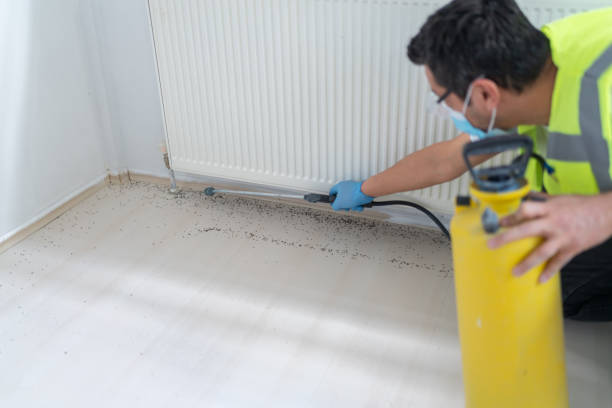 Best Affordable Pest Control Services  in Ebensburg, PA