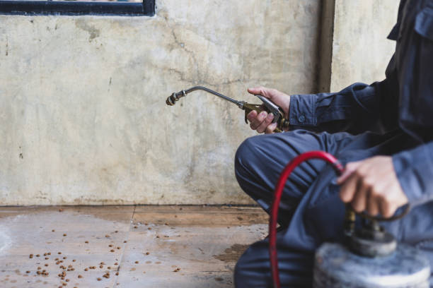 Best Pest Control Near Me  in Ebensburg, PA